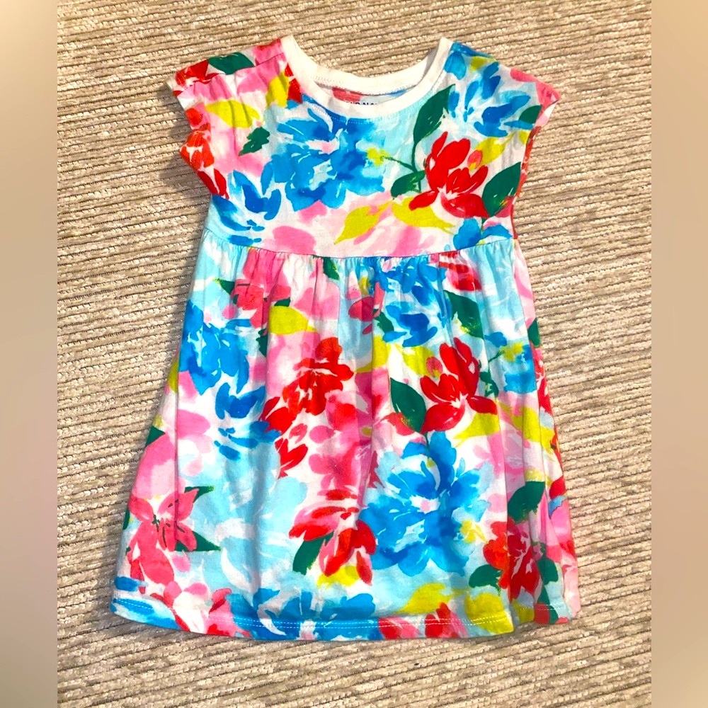 Old Navy Pink and Red Floral Dress 18-24M